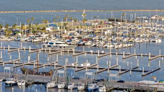 Photo of marina view from Omni Corpus Christi Hotel
