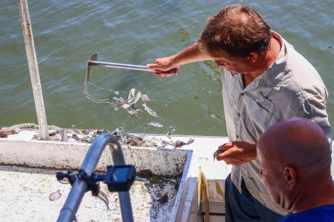Man holding up a fish