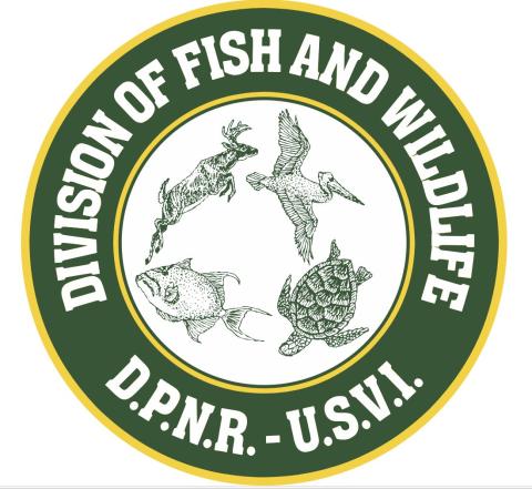 Virgin Islands DFW logo
