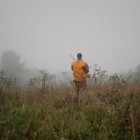 Group of hunters in a misty field